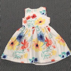 Crazy 8 Floral Fress